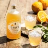 蜜柑梅酒情境圖webp 白岳 蜜柑梅酒300ml